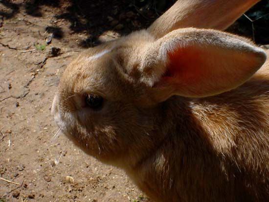 Image has been resized