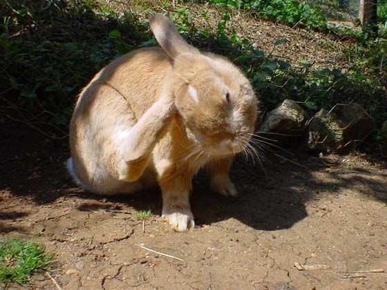 Image has been resized