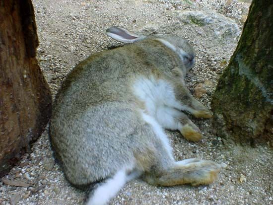 Image has been resized